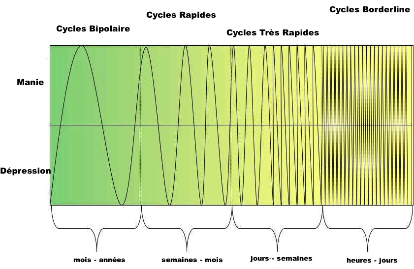 Cycle des bipolaires et des borderlines