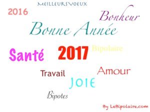 Bonne année aux bipos