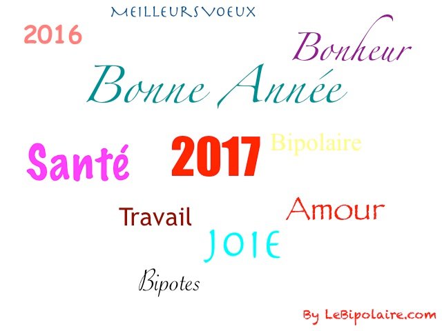 Bonne année aux bipos