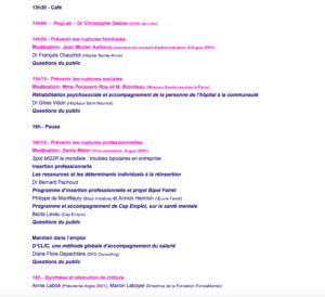 Fin journée bipolarité paris 2017