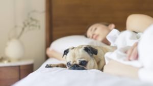 sommeil bipolaire